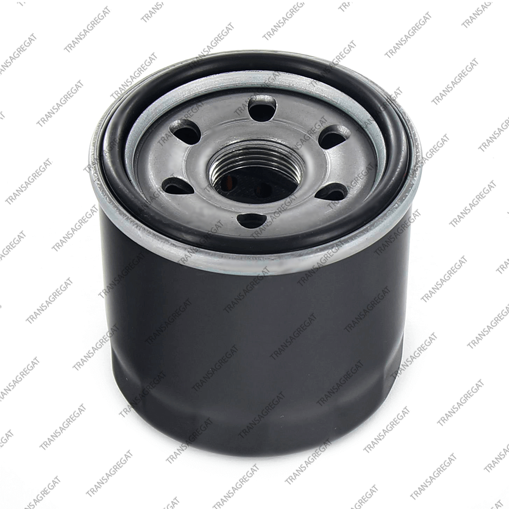 Фильтр картридж (в металлическом корпусе)