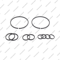 Комплект уплотнительных колец (10шт.)***