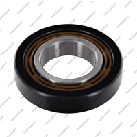 Подшипник ведомого шкива задний (45x90x19.0, шариковый)