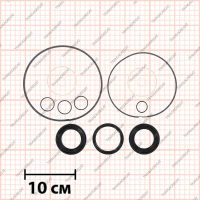 Комплект прокладок и сальников (с уплотнительными кольцами)*