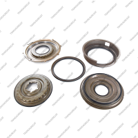 Комплект поршней (5шт., обрезиненные)