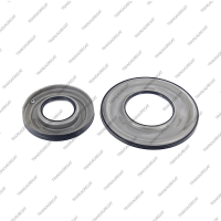 Комплект поршней (1998-up, 2шт., обрезиненные, без поршня сервопривода)