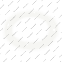 Шайба заднего планетарного редуктора (4 уса, 104x91x2.1, пластиковая)